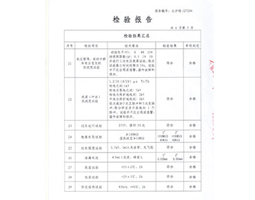 检验报告5